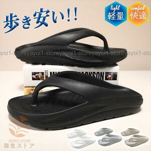 T_  X|[cT_ Y r[`T_ gOT_ t@V ₷ RtH[g AEghA JWA 