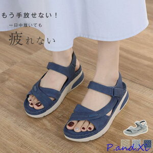 T_ fB[X X|[c  X|[cT_ ₷ ɂ Xj[J[T_ X|T RtH[gT_ _bVł l xN