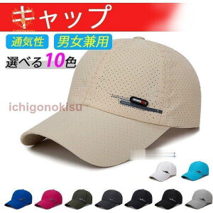 Xq Lbv NX}Xv[g Y fB[X   n UVJbg ނ ΍ ^ X|[c AEghA