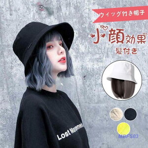 XqEBbO fB[X   GNXe tXq V[g EBbOO\ R ֗ 