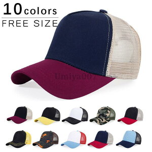 Lbv Y Xq bVLbv Vv ʋC\ y MǑ΍  Xq ʋC Q TCY 싅 t  ނ ̓