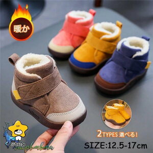 [gu[c LbY j̎q ̎q V[gu[c {A xr[V[Y  qC LbY W[Y jp  [gu[c g q