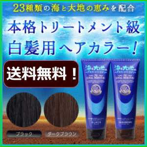白髪染め★海と大地ヘアカラートリートメント250g(高級バージョン250g)髪と頭皮に優しいヘアカラートリートメント(分け目、生え際までしっかり染まる!)白髪染め【送料無料】