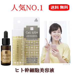 楽天市場】【メーカー希望小売価格より45％OFF！4/27(日) 1:59