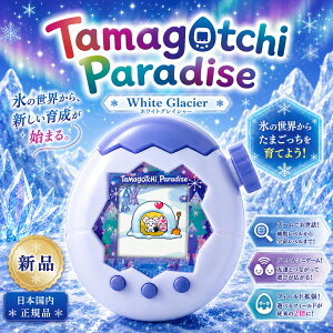 ���i�摜