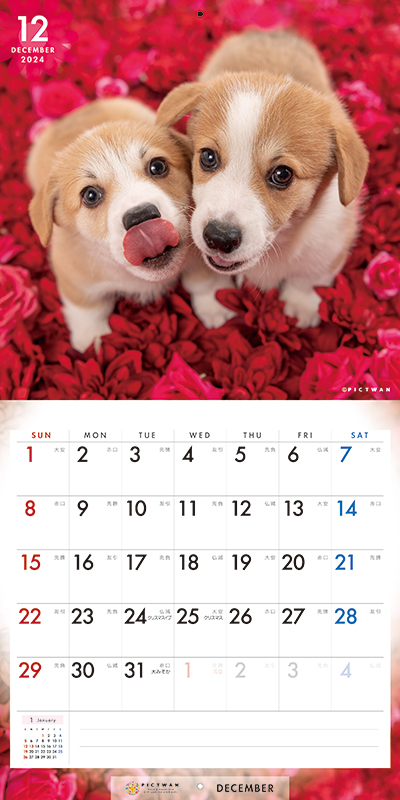ご予約）ウェルシュ・コーギー スモール カレンダー PICTWAN 2024年<BR>SMALL CALENDER ピクトワン カレンダー コーギー グッズ  犬 仔犬 動物 いぬ アニマル 壁掛け インターズー オーナーズグッズ
