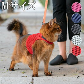 ハーネス 猫 可愛い おしゃれ Sleepypod Martingale Cat Harness スリーピーポッド マーチンゲールキャットハーネス ネコ 胴輪 首輪Mサイズ 目安体重〜8kg