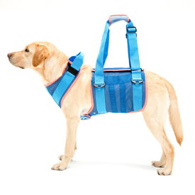 【正規品】 犬 歩行補助 介護ハーネス 胴輪 LaLaWalk 大型犬用　クールメッシュ[ブルー] SS/S/M/L/LL 犬 いぬ イヌ 老犬 介護用品　散歩 大型 ドッグハーネス 介護用 補助器具 ハーネス リード 歩行補助 胴輪 ラブラドール シェパード 大きめシバ 犬用 介護