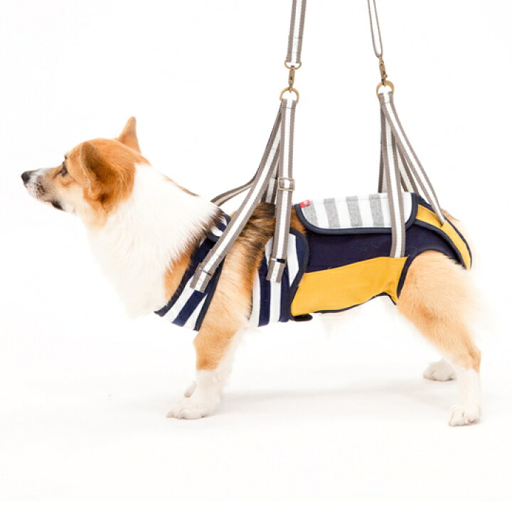 楽天市場 犬 歩行補助 介護ハーネス 胴輪 Lalawalk 中型犬用 ボーダーマスタード Cm Cl 犬 いぬ イヌ 老犬 介護用品 散歩 小型 ドッグハーネス 介護用 補助器具 ハーネス リード 歩行補助 胴輪 中型犬 ウエルシュコーギー 柴 アキタ犬 ビーグル キャバリア コッカー 犬用