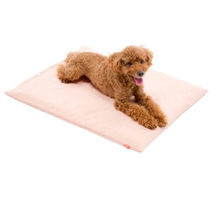 yKiz  xbh Withh~E}bgX[g]@MTCY   Ck V pi Q ^ ^ p xbh }bg NbV ViEU[ |jA p