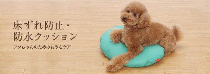 楽天市場 犬 介護 枕 床ずれ防止 防水クッション そらまめ型 グリーン Mサイズ 犬 いぬ イヌ 老犬 介護用品 寝たきり 中型 小型 介護用 ベッド マット クッション あご まくら ゴールデン レトリーバー ダルメシアン パピヨン コーギー シバ 犬用 介護 犬ステッカー