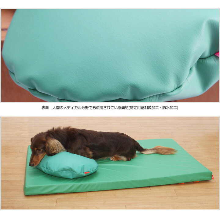 楽天市場 犬 介護 枕 床ずれ防止 防水クッション そらまめ型 グリーン Mサイズ 犬 いぬ イヌ 老犬 介護用品 寝たきり 中型 小型 介護用 ベッド マット クッション あご まくら ゴールデン レトリーバー ダルメシアン パピヨン コーギー シバ 犬用 介護 犬ステッカー