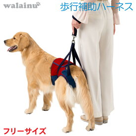 犬 歩行補助ハーネス 介護 ハーネス LaLaWalk Hip 大型犬用 スカーレットメッシュ いぬ イヌ 老犬 介護用品 散歩 大型 ドッグハーネス 介護用 補助器具 ハーネス リード 歩行補助 胴輪 ラブラドール シェパード 大きめシバ 犬用 介護