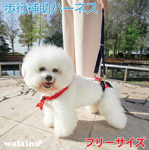  s⏕n[lX  n[lX EH[Nz[h ^p Z[[} ×  Ck V pi U ^ hbOn[lX p ⏕ [h s⏕  pO 