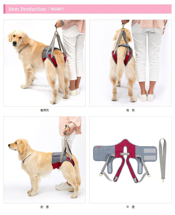 犬 歩行補助 介護ハーネス L 介護用品 Lalawalk いぬ 犬用 リード 老犬 胴輪 シェパード クールメッシュ Ss 介護用 M 介護 補助器具 散歩 S ドッグハーネス ラブラドール 大型犬用 大きめシバ イヌ ブルー 大型 ハーネス Ll