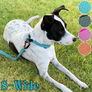 p ^ ^  Sleepypod Locking Martingale Collar X[s[|bh bLO}[`Q[J[S-WideTCY 1.9cm 28`38cm