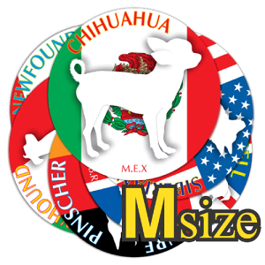  hbOV[XebJ[܂ i21ZbgjMTCYa12cmXebJ[ V[ fJ[ VGbg  J[ V[ fJ[   Ck VGbg e A ANZT[ XebJ[ 