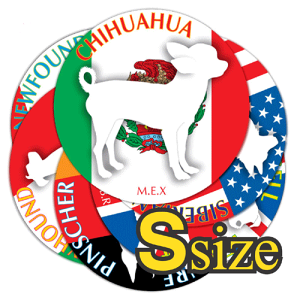  hbOV[XebJ[܂i31Zbgj STCYa8cmXebJ[ V[ fJ[ VGbg  J[ V[ fJ[   Ck VGbg e A ANZT[ XebJ[  