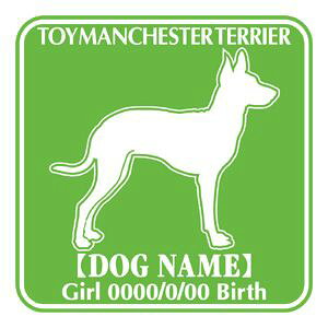 LxẼXebJ[@uFvp^[ XebJ[ V[ fJ[ VGbg  J[ V[ fJ[   Ck VGbg e A ANZT[ XebJ[  oCN X[cP