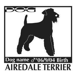 GAf[eA  XebJ[ A LTCY XebJ[  oCN X[cP[X