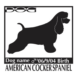  XebJ[A AJsbgueA LTCY XebJ[  oCN X[cP[X