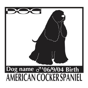  XebJ[A AJRbJ[XpjG LTCY XebJ[  oCN X[cP[X