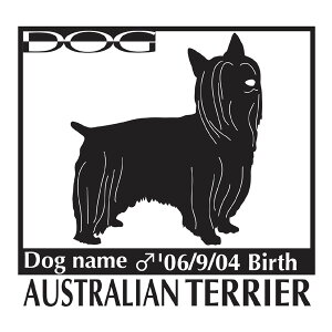  XebJ[A I[XgAVL[eA LTCY XebJ[  oCN X[cP[X