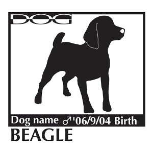  XebJ[A r[O LTCY XebJ[  oCN X[cP[X