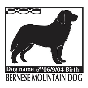  XebJ[A o[j[Y}EehbO LTCY XebJ[  oCN X[cP[X