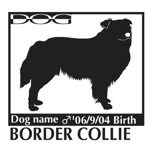  XebJ[A {[_[R[ LTCY XebJ[  oCN X[cP[X