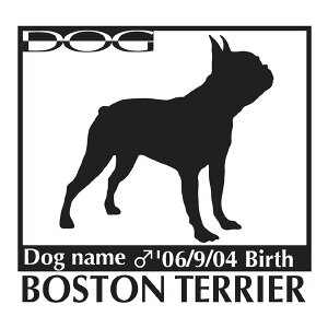  XebJ[A {XgeA MTCY XebJ[  oCN X[cP[X