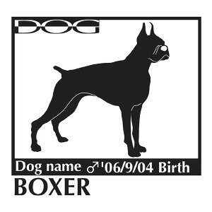  XebJ[A {NT[ LTCY XebJ[  oCN X[cP[X