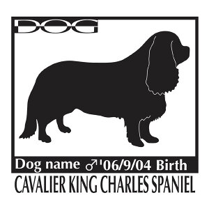  XebJ[A LoALO`[YXpjG MTCY XebJ[  oCN X[cP[X