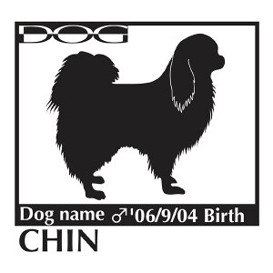  XebJ[A  MTCY XebJ[  oCN X[cP[X