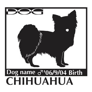  XebJ[A ` O LTCY XebJ[  oCN X[cP[X