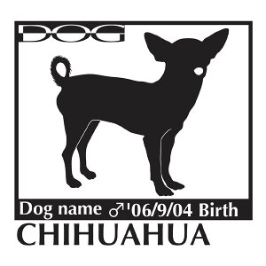  XebJ[A `@X[X ΌMTCY XebJ[  oCN X[cP[X