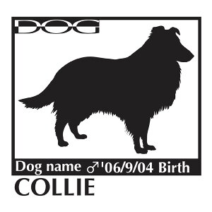  XebJ[A R[ LTCY XebJ[  oCN X[cP[X