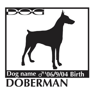  XebJ[A h[x} MTCY XebJ[  oCN X[cP[X