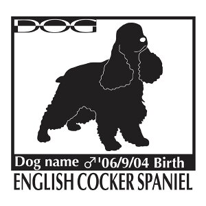  XebJ[A CObVRbJ[XpjG LTCY XebJ[  oCN X[cP[X