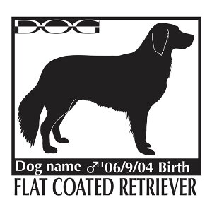  XebJ[A tbgR[ebhg[o[ LTCY XebJ[  oCN X[cP[X