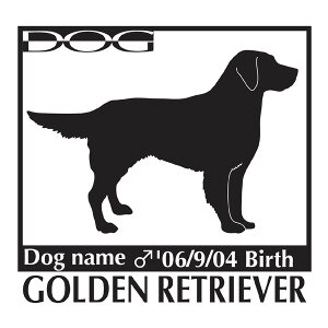  XebJ[A S[fg[o[ LTCY XebJ[  oCN X[cP[X