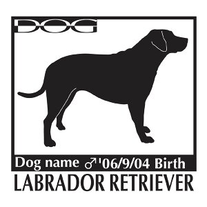  XebJ[A uh[g[o[ LTCY XebJ[  oCN X[cP[X