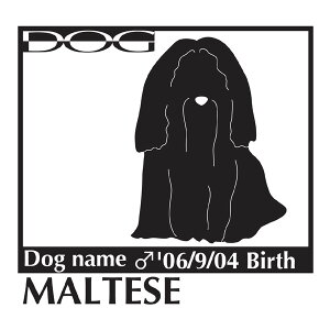  XebJ[A }`[Y MTCY XebJ[  oCN X[cP[X  XebJ[