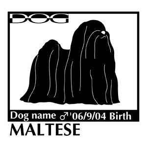  XebJ[A }`[Y NEW@LTCY XebJ[  oCN X[cP[X  XebJ[