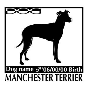  XebJ[A }`FX^[eA ΌMTCY XebJ[  oCN X[cP[X