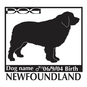  XebJ[A j[t@hh LTCY XebJ[  oCN X[cP[X