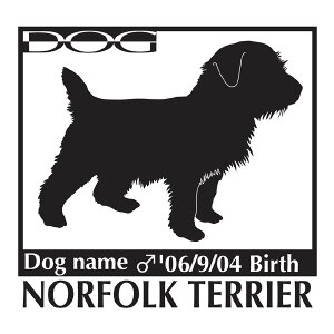  XebJ[A m[tH[NeA LTCY XebJ[  oCN X[cP[X