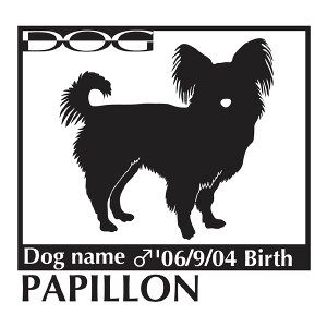  XebJ[A ps LTCY XebJ[  oCN X[cP[X