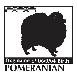  XebJ[A |jA MTCY XebJ[  oCN X[cP[X