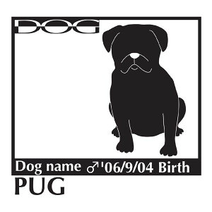  XebJ[A pO MTCY XebJ[  oCN X[cP[X